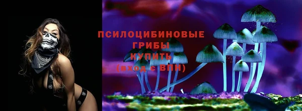 прущие грибы Надым