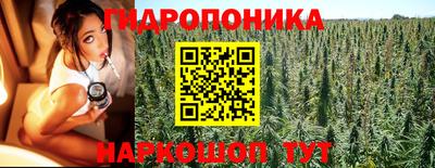 прущие крисы Гусев