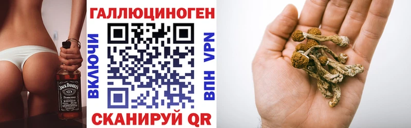 МЕГА зеркало  Новотроицк  Псилоцибиновые грибы прущие грибы 