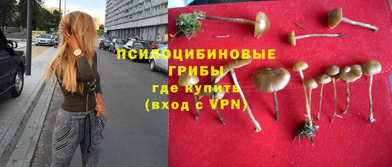 ОМГ ОМГ вход  где купить наркоту  Новотроицк  Галлюциногенные грибы Psilocybe 