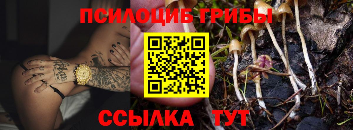 Галлюциногенные грибы мухоморы Новотроицк