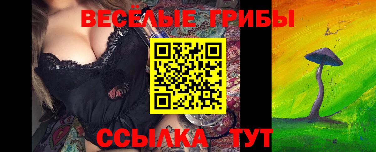 Псилоцибиновые грибы GOLDEN TEACHER  закладки  Новотроицк  Вход с VPN 